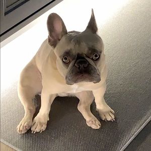 Meet your Posher, Giuseppe